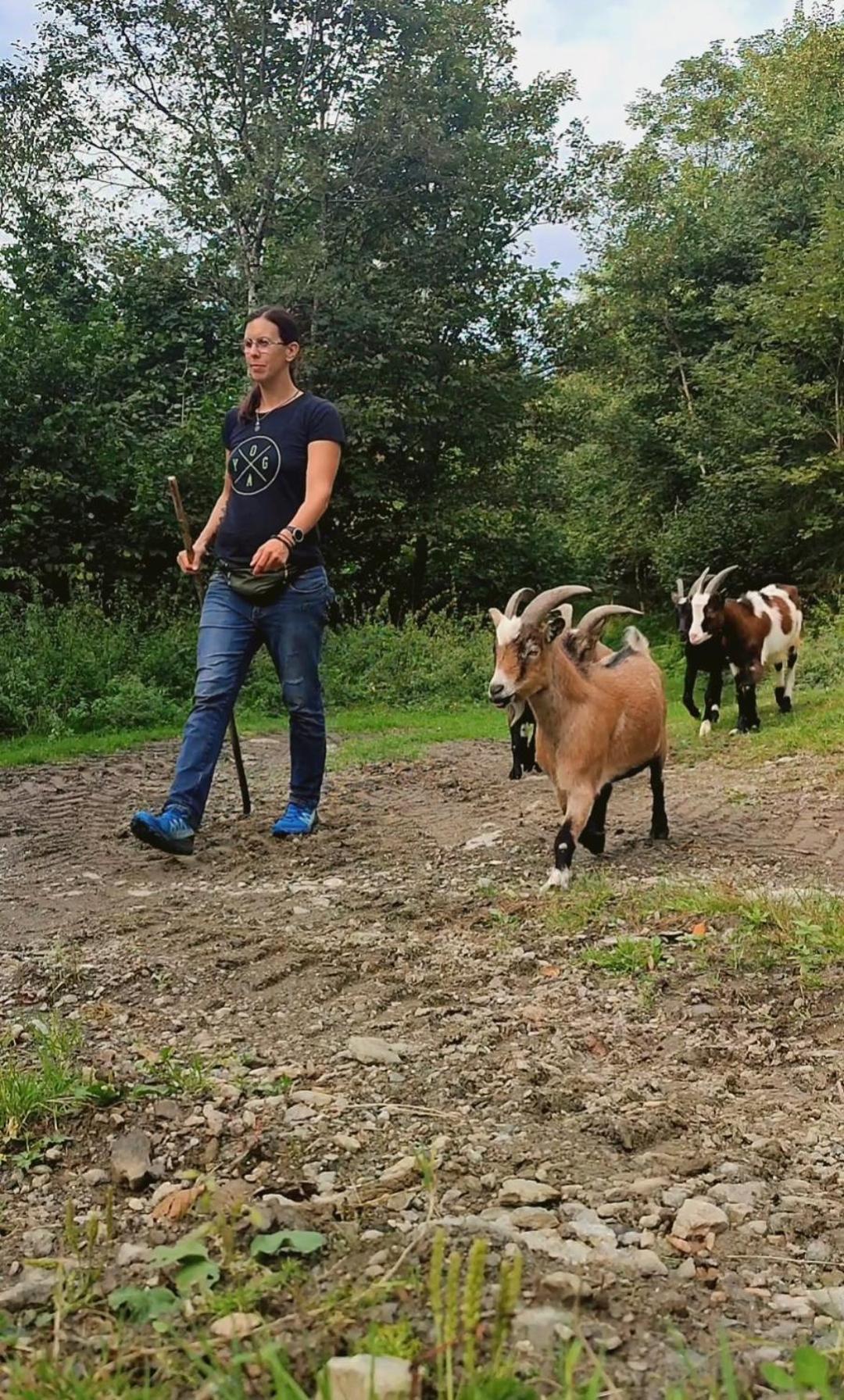 Almhuette Auszeit Villa Donnersbachwald Bagian luar foto